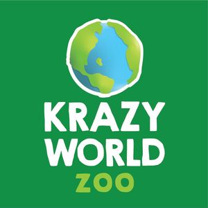 Krazy World